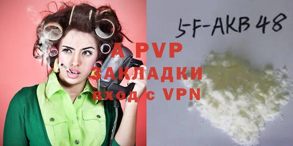 шишки Абаза
