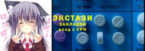 шишки Абаза