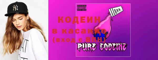 шишки Абаза