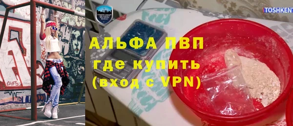 шишки Абаза