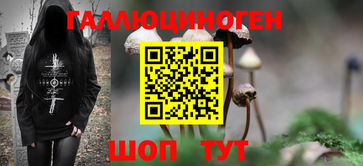 Псилоцибиновые грибы Cubensis  Вход с VPN  Галлюциногенные грибы Psilocybe  Тихорецк 